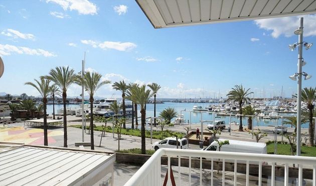 Foto 2 de Pis en venda a Port d'Alcúdia - Platja d'Alcúdia de 2 habitacions amb terrassa i ascensor