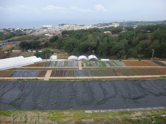 Foto 2 de Venta de terreno en Sant Cebrià de Vallalta de 39714 m²