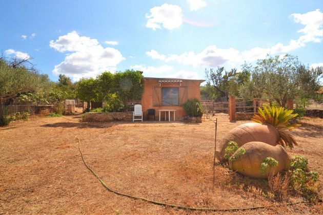 Foto 2 de Casa rural en venda a Muro de 1 habitació amb terrassa i jardí