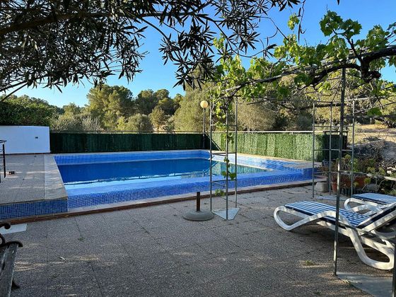 Foto 2 de Casa en lloguer a Sant Josep de 2 habitacions amb terrassa i piscina