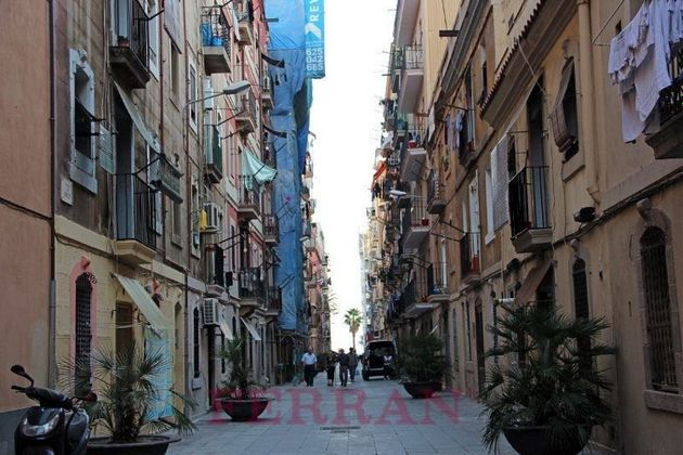 Foto 2 de Local en lloguer a La Barceloneta amb terrassa