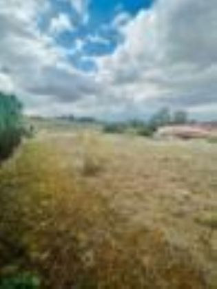 Foto 1 de Venta de terreno en Albarreal de Tajo de 2786 m²
