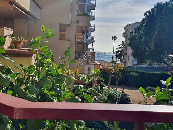 Foto 2 de Pis en venda a Torre Valentina-Mas Vilar de La Mutxada-Treumal de 3 habitacions amb terrassa i jardí