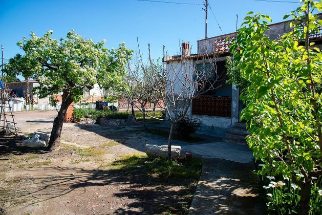 Foto 2 de Casa rural en venda a calle Partida Almalafa de 3 habitacions amb terrassa i jardí