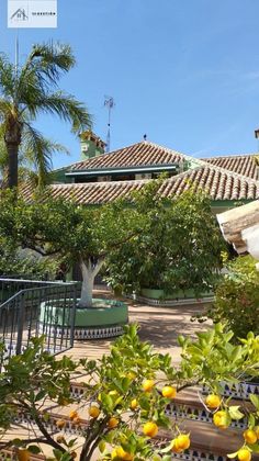 Foto 2 de Venta de chalet en Las Cancelas - Valdeolletas de 5 habitaciones con terraza y piscina