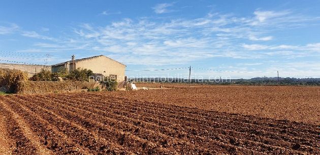 Foto 1 de Venta de terreno en calle Llubí de 42500 m²