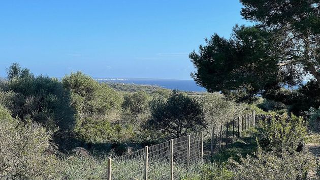 Foto 2 de Terreny en venda a Cala Pi-Vallgornera de 880 m²