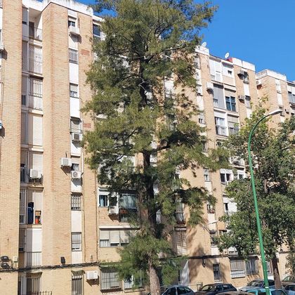 Foto 2 de Piso en venta en avenida De la Calesera de 3 habitaciones con terraza y ascensor