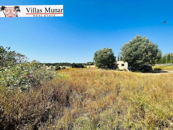 Foto 1 de Casa rural en venda a Montuïri de 2 habitacions amb terrassa i jardí