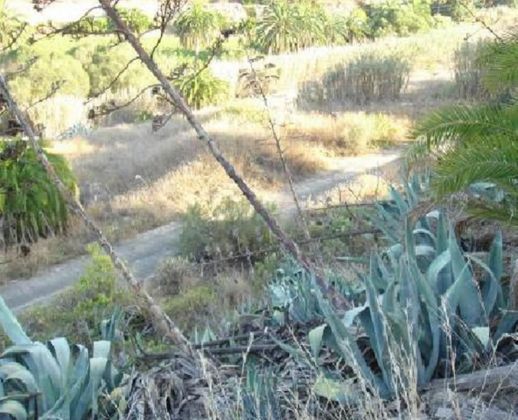 Foto 2 de Venta de terreno en Monte Lentiscal-Las Meleguinas de 400 m²