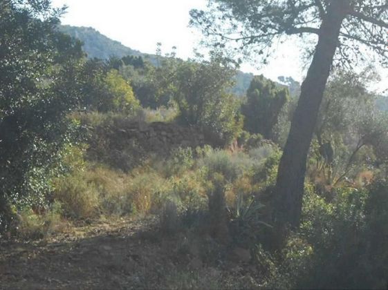 Foto 2 de Venta de terreno en Montornés - Las Palmas - El Refugio de 2173 m²