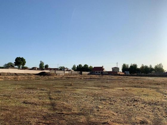 Foto 2 de Venta de terreno en Argamasilla de Alba de 7783 m²