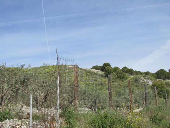 Foto 1 de Venta de terreno en Los Tablones - La Garnatilla - Puntalón de 58726 m²