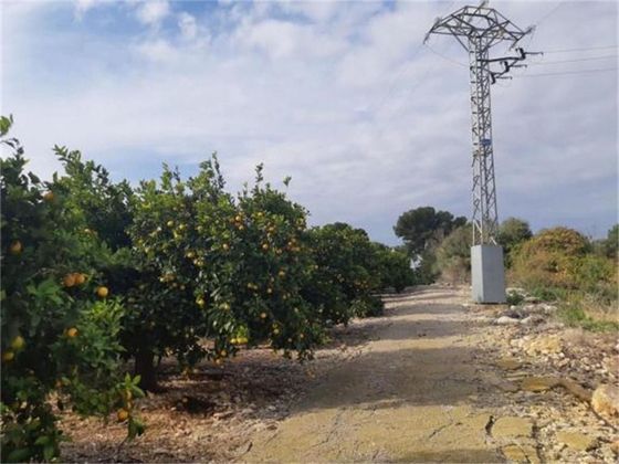 Foto 2 de Venta de terreno en Pedralba de 2560 m²