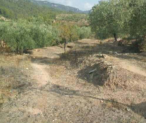 Foto 1 de Venta de terreno en Tivissa de 13880 m²