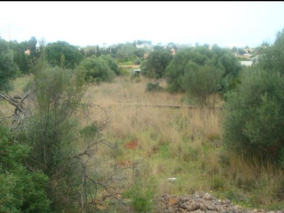 Foto 1 de Venta de terreno en La Pedrera-Vessanes de 7380 m²