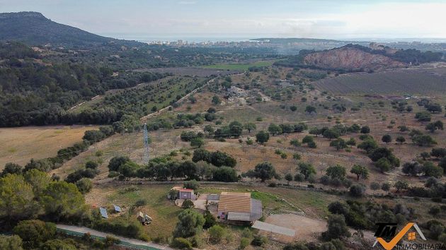 Foto 1 de Venta de terreno en Sant Llorenç des Cardassar de 15259 m²
