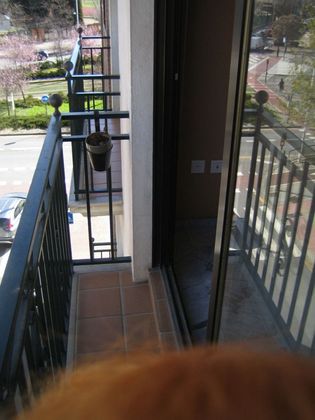 Foto 2 de Pis en lloguer a calle Torre de Las Damas de 2 habitacions amb balcó i aire acondicionat