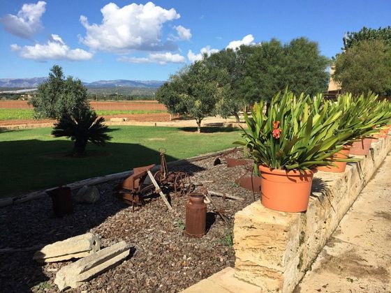 Foto 1 de Casa rural en venda a Sant Jordi - Son Ferriol de 5 habitacions amb terrassa i piscina