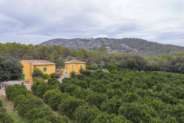 Foto 2 de Casa rural en venda a calle De la Savina de 4 habitacions amb terrassa i piscina