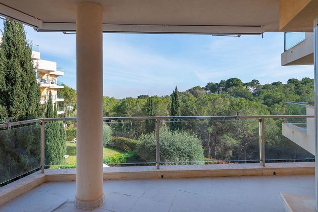 Foto 1 de Piso en venta en Sol de Mallorca de 2 habitaciones con terraza y piscina