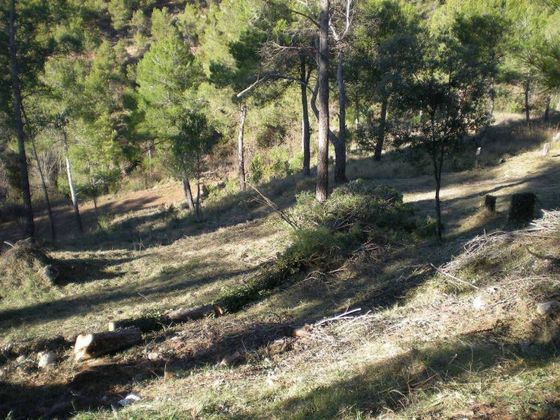 Foto 1 de Venta de terreno en Castellnou de Bages de 834 m²