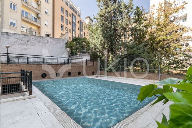 Foto 1 de Pis en lloguer a Nuevos Ministerios - Ríos Rosas de 1 habitació amb piscina i jardí