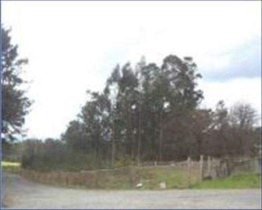 Foto 2 de Venta de terreno en Tomiño de 1634 m²