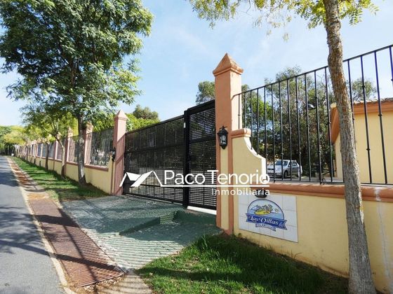 Foto 1 de Piso en venta en avenida Del Deporte de 2 habitaciones con terraza y piscina