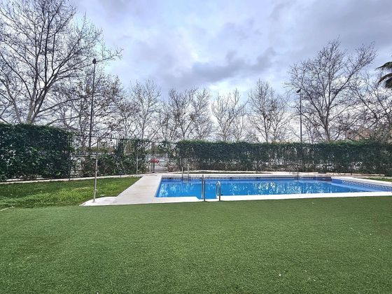 Foto 2 de Pis en venda a El Gordillo de 3 habitacions amb terrassa i piscina