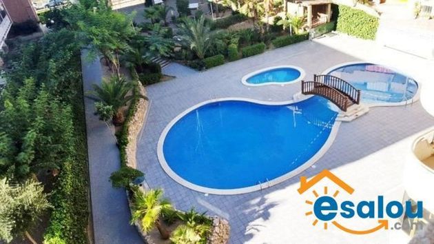 Foto 2 de Pis en venda a Eixample de 1 habitació amb terrassa i piscina