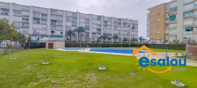 Foto 2 de Estudi en venda a La Pineda amb piscina i jardí