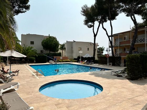 Foto 2 de Pis en lloguer a Els Pins - Politur de 2 habitacions amb terrassa i piscina
