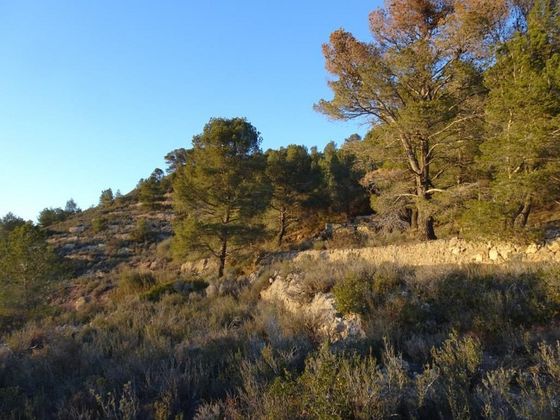 Foto 2 de Venta de terreno en Móra d´Ebre de 27468 m²