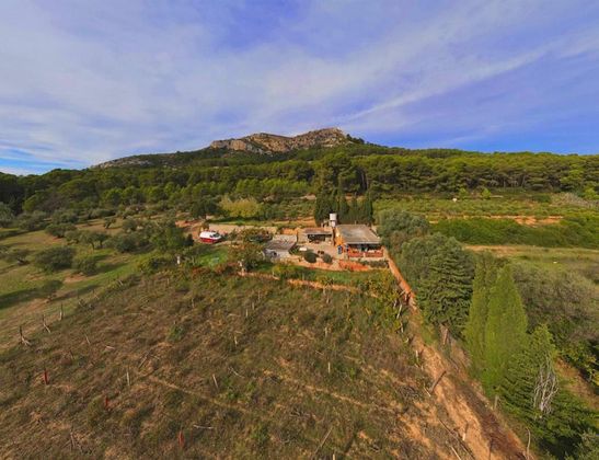 Foto 1 de Casa rural en venda a Torroella de Montgrí pueblo de 1 habitació amb terrassa i jardí