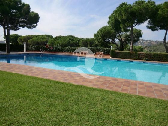Foto 2 de Piso en venta en Els Pins - Politur de 5 habitaciones con piscina y jardín