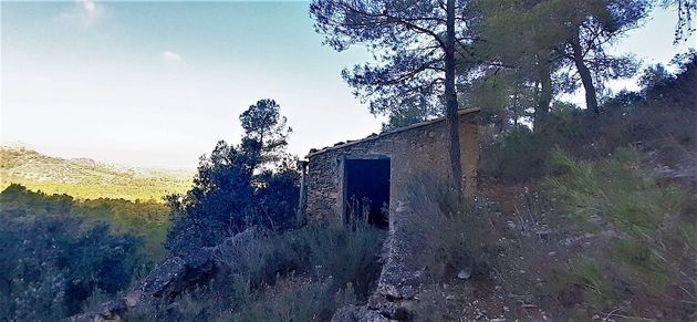 Foto 2 de Venta de terreno en Tivissa de 27000 m²
