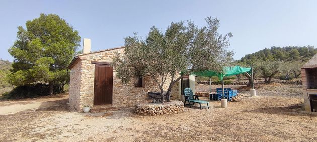 Foto 1 de Casa rural en venda a Tivissa de 1 habitació amb terrassa i jardí