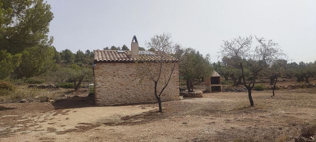 Foto 2 de Casa rural en venda a Tivissa de 1 habitació amb terrassa i jardí