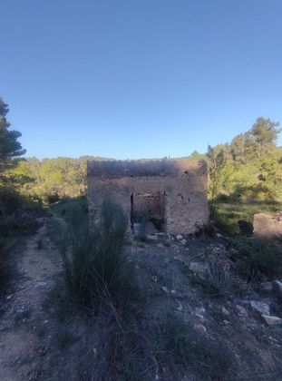 Foto 1 de Venta de terreno en Tivissa de 29800 m²