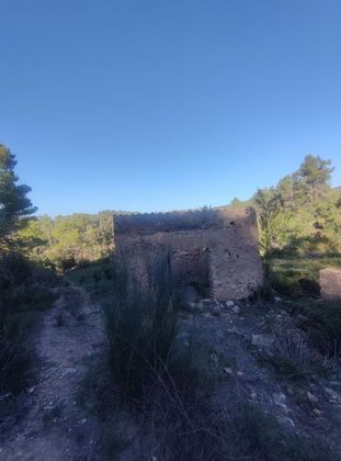 Foto 2 de Venta de terreno en Tivissa de 29800 m²