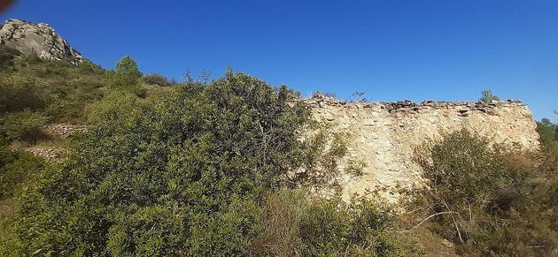 Foto 2 de Venta de terreno en Tivissa de 17600 m²