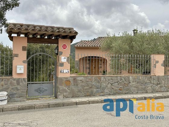 Foto 2 de Chalet en venta en Cabanyes-Mas Ambrós-Mas Pallí de 4 habitaciones con terraza y piscina