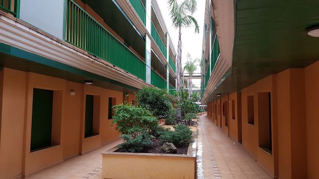 Foto 1 de Piso en venta en calle Eucaliptus de 2 habitaciones con terraza y garaje