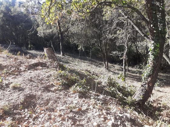 Foto 1 de Venta de terreno en Castellnou - Can Mir - Sant Muç de 524 m²