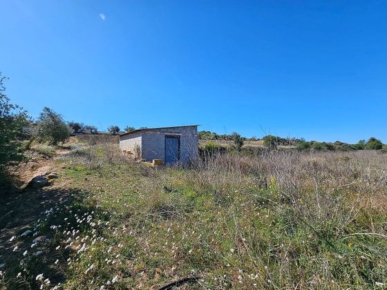 Foto 2 de Venta de terreno en Garcia de 17000 m²