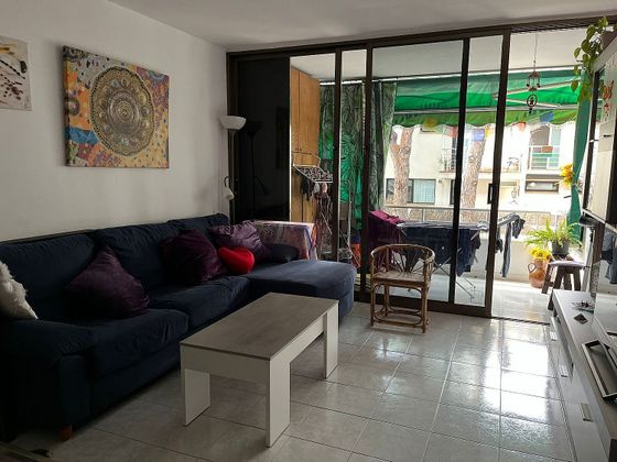 Foto 1 de Piso en venta en La Pineda de 1 habitación con terraza y garaje