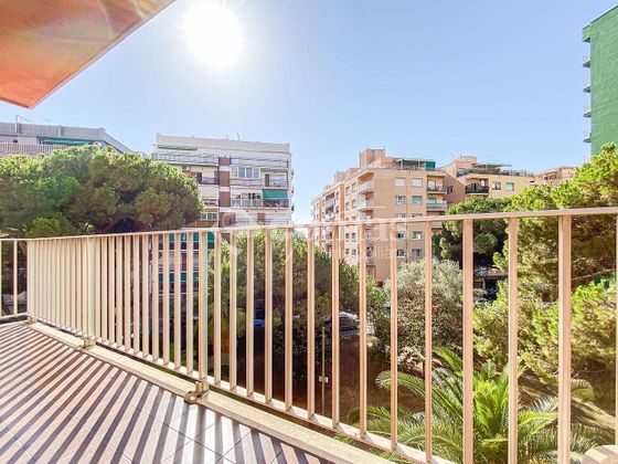 Foto 2 de Piso en venta en Els Pins de 3 habitaciones con terraza y balcón