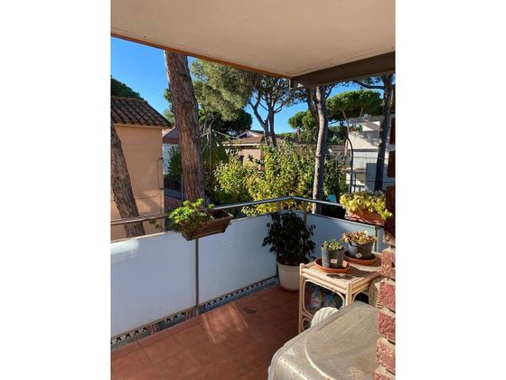 Foto 1 de Piso en venta en La Pineda de 1 habitación con jardín y balcón