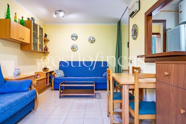 Foto 2 de Pis en venda a Vilafortuny - Cap de Sant Pere de 1 habitació amb terrassa i piscina